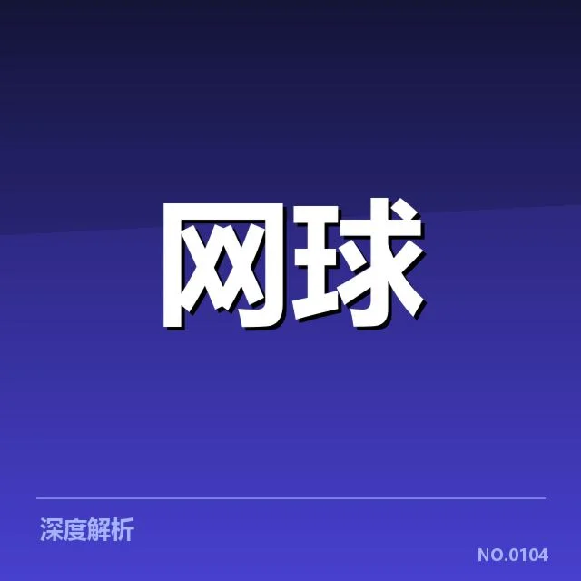 李娜职业成绩及近期公开信息